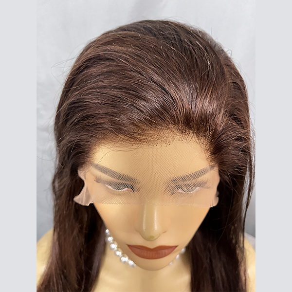 Aditi | Straight Wig | Lace Front Human Hair Wigs